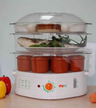 Multi-Purpose Food Steamer